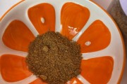 如何选择合适的水泡狗粮（选择合适的水泡狗粮的关键是什么？）