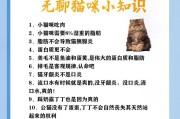 猫咪的排便频率和原因解析（了解猫咪的排便需求，保持它们的健康和舒适）