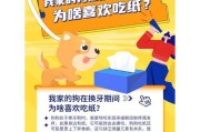 金毛换牙的周期及注意事项（了解金毛换牙的时间表，让宠物更健康成长）