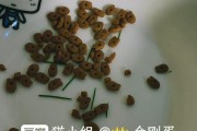 蓝猫怀孕期间的饮食指南（科学合理的饮食对蓝猫怀孕至关重要）