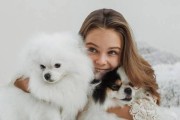 博美幼犬为什么一天要拉很多次？（探究博美幼犬拉便频率高的原因）