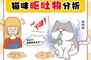 猫吐虫子要吃什么药？（保护猫咪健康的关键在于正确选用药物）