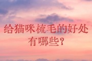 猫咪的换毛时间及注意事项（揭秘猫咪换毛周期，为您的宠物健康护航）