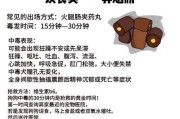 突然死亡的狗病究竟有哪些？（揭秘狗病突然死亡的原因与预防措施）