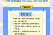 狗尿中出现血迹的原因及处理方法（了解常见原因，保护宠物的健康）