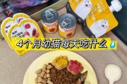 幼猫换毛期的适当饮食安排（幼猫换毛期如何正确选择饮食）