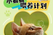 给猫猫吃点不同的东西（丰富猫咪的饮食，提供健康多样的营养）