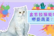 猫的饮食习惯（探索猫咪逐个生小猫的饮食习惯）