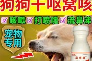 犬瘟热发烧的治疗方法详解（了解犬瘟热发烧的原因，正确使用药物治疗）