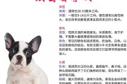 小狗饮食的注意事项——为你的小狗提供健康的饮食（小狗饮食的科学指导，让你成为贴心的狗主人）