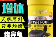 黄头侧颈龟的饮食习性及推荐的蔬菜（了解黄头侧颈龟的食物偏好和营养需求，为其提供适宜的蔬菜饮食）