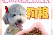 如何科学喂养泰迪幼犬？（一月龄泰迪幼犬的合理狗粮摄入量及喂食技巧）