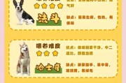 如何正确喂养刚出生的狗狗（注意事项及喂养指南）