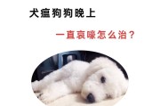 了解犬瘟热，守护宠物健康（主要症状、预防措施、治疗方法、常见问题）