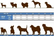 我家狗狗的食量与体型有关吗？（体型不同，食量各异）