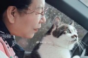 适合经常出门带着饲养的宠物选择（寻找适合出门旅行的伴侣，了解哪些宠物适合你）