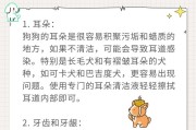 狗狗耳朵清理的必要性与方法（保持宠物狗耳朵清洁，健康快乐无忧）