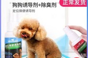 幼犬排便训练，（宠物主人必看，让你的幼犬健康成长）