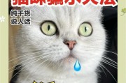 如何解决幼猫便秘问题（了解幼猫便秘原因及正确喂养方法）