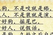 如何改善狗宝宝的吸收能力（为营养不良的狗宝宝提供正确的饮食）