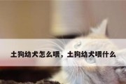 土狗千万别碰的食物！（一不小心就会送命的关键食物有哪些？）