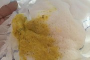 拉大便为什么会很臭？（探索大便气味的成因与原因，科学解释拉大便的臭味）