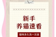 带猫到新环境后多久可以给它洗澡？（了解适宜洗澡的时间和方法，为你的猫提供最佳的护理。）