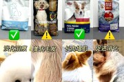 幼犬喂养（探讨幼犬多久可以开始喂养干狗粮，以及如何逐渐过渡）