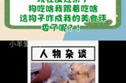 现代人为什么越来越倾向于将狗作为主要食物？（探究现代人狗肉消费的原因和影响）