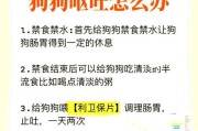 狗狗为何吃过没多久就吐？（探究狗狗进食后呕吐的原因及解决方法）