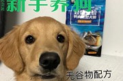 狗狗上火了吃什么降火？（了解狗狗上火的原因及如何调理）