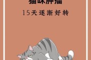 猫咪肿瘤存活期有多长？（探讨猫咪肿瘤的生存时间以及关键影响因素）