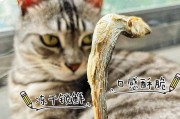 选择适合猫咪的健康零食（为您的宠物猫提供美味又有营养的小吃）
