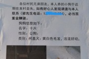 选择适合自己养的狗，提高成活率（为“狗的成活率”）
