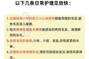如何解决比熊泪痕问题？（探索幼犬比熊泪痕原因及解决方法）