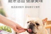 让你的泰迪吃得健康又美味（泰迪口气不佳？试试这些食物吧！）