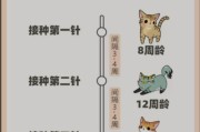 如何科学饲养阿拉莫泥龟（了解阿拉莫泥龟习性，营造合适的生活环境）