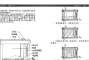 以涟纹吊为宠物（适合初学者的亚热带水族馆小型鱼类/涟纹吊）