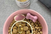 探究萨摩耶为什么毛变黄的原因（解析萨摩耶毛发黄色的成因及护理方法）