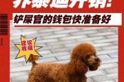 最适合养的犬种——忠诚可爱的黄金犬（黄金犬——最佳家庭伴侣，主人的最好选择）