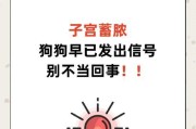 狗狗向你求救的7个信号，你真的读懂了吗？（了解狗狗的求救信号，成为它们的最佳救援者）