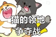 猫咪喜欢打架的原因及如何处理（探索猫咪社交行为中的冲突和解决办法）