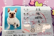 北京狗证价格之谜（探究北京狗证价格高企的原因）