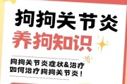 狗狗关节炎禁食清单（狗狗关节炎不能吃什么？一览无余！）