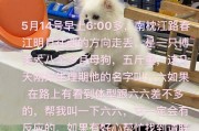 选择一只适合母狗的好听名字的关键