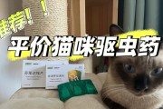 新家猫咪的驱虫攻略（让爱宠健康，远离寄生虫侵袭）