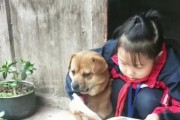 养狗对生活的影响（狗狗伴侣的力量与陪伴）