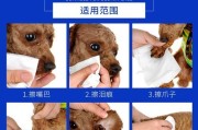 如何做好金毛犬脚部护理（宠物金毛也需要“脚部按摩”）