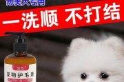 如何干狗狗的毛发（让你的宠物健康又舒适）