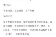 以细小为主题的治愈时间研究（细小病毒感染的治疗时程及关键因素分析）